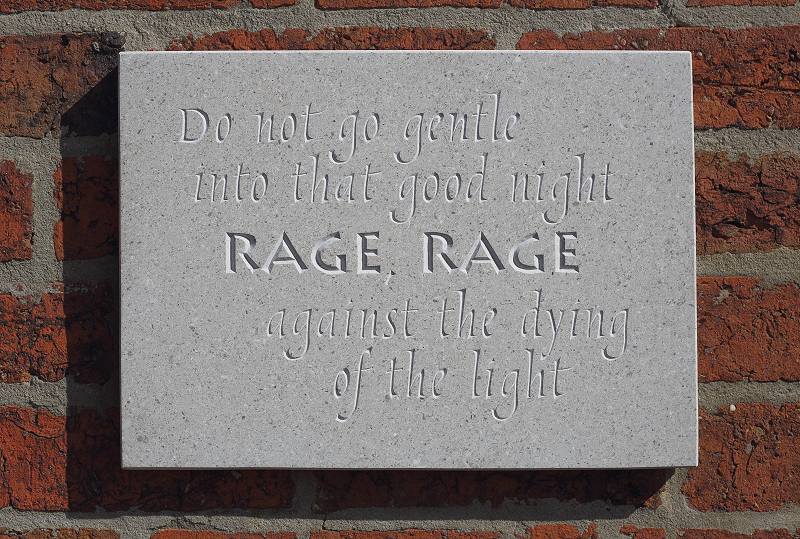 Rage against the dying of the light